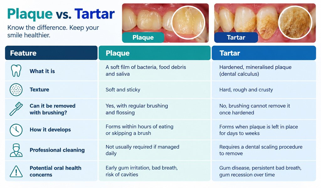 Plaque-vs-Tartar-Whats-the-Difference